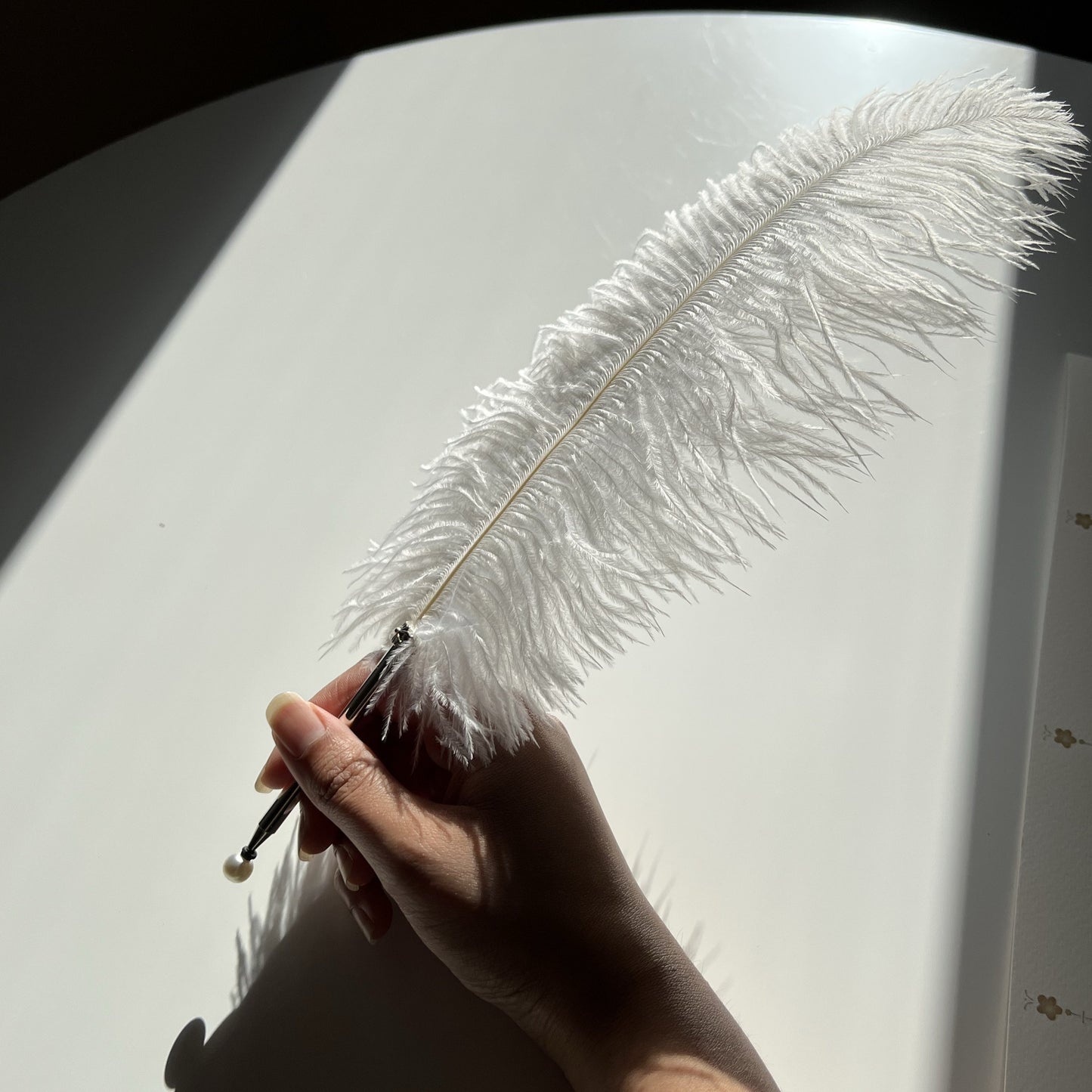Feather Pen